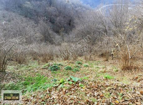 Özgür Emlak'tan Yatırımlık Fındıklık