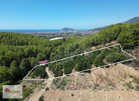 Alanya Kızılcaşehir'de Kale Ve Deniz Manzaralı Satılık Tarla