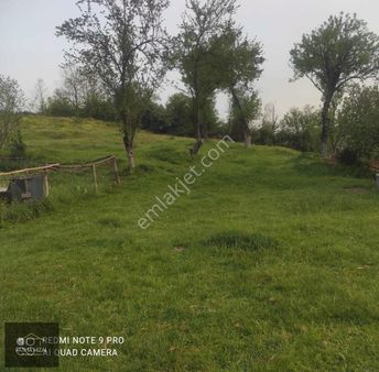 Çiftlik Sera Yapımına Uygun Satılık Arazi