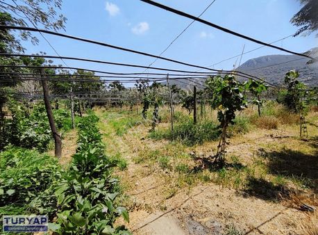 Defne Büyükçatta Satılık Ev Yapmaya Uygun Parsel