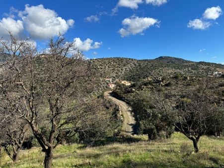 Startkey Pelit Gayrimenkul Datça Yazıköy 'de 2320m2 Bademlik