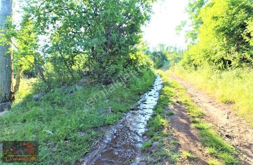 El/ya Ataköy 'de 466 M2 Bahçe + Su + Elektrik Dibinde