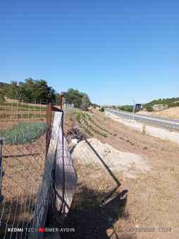 Meram Erenkayada Teli Çekili 1097 M2 Müstakil Tarla