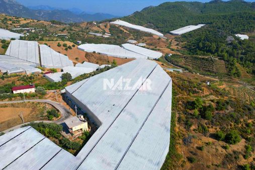 Alanya İmamlı’da 5.792 M² Satılık Tarla / Kapalı Muz Serası