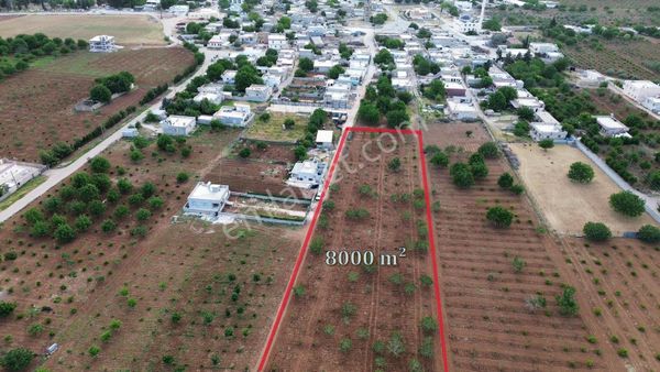 World İlkevim'den Hamurkesen'de Satılık Tarla (takasa Açık)