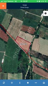 Altınbaş Emlak'tan Alibeyköy'de Satılık Ceviz Bahçesi