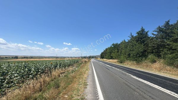 Kırklareli Vize Okçularda Satılık Asfalta 2.parsel 7800m2 Tarla