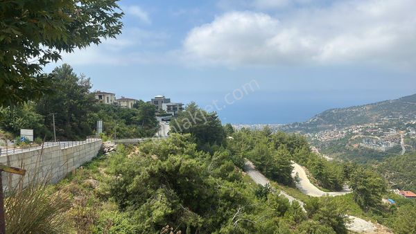 Alanyanın En Uygun Arsası