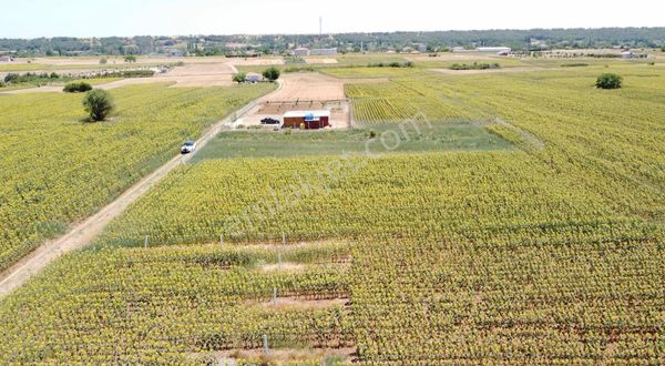 Ertuğrul Köyde Satılık 1875 M2 Bağ Behçe Yeri