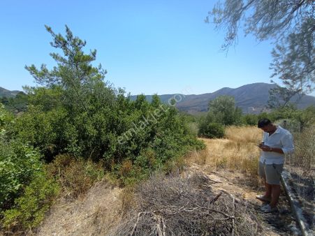 Sederihisar Orhanlı Tek Müstakil Tapu 1920 M2