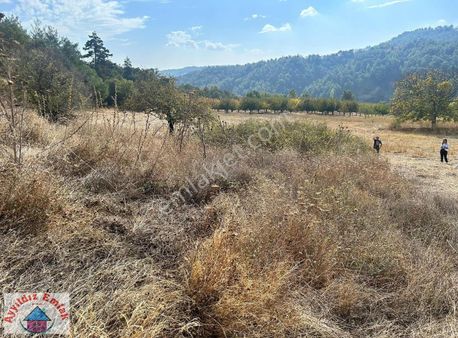 Yetişen Alır Tek Tapu 2500 M2