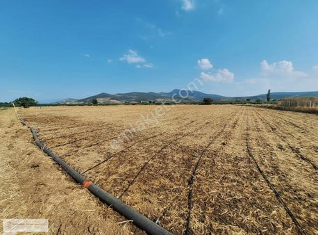 Yatırımdan Torbalı Yeniköy'de Tek Tapu 7100 M2 Satılık Tarla