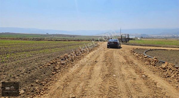 Bursa Yenişehir Köprühisar'da Satılık 887m² Tek Tapu Tarla