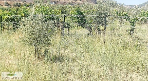Menemen Teleklerde Satılık Müstakil Tarla..