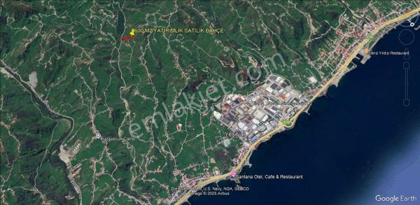 🌊 Trabzon Arsin’de 1.000 M² Karadeniz Manzaralı Satılık Bahçe