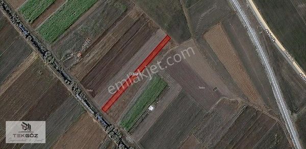 Tekgöz'den Turgutlar'da Satılık Yatırımlık Tarla