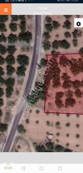 Satılık Akçadağ Esenli Mevkinde 10 Dönüm Bahçe