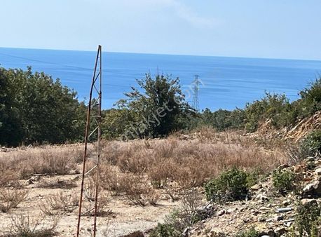 Alanya Elikesik'te 1000 M2 Hafriyatlı Satılık Arsa Kelepir....