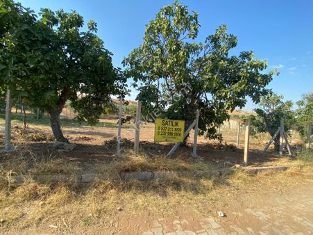 İzmir Tire Yenioba Mahallesinde Villa İmarlı Satılık Arsa