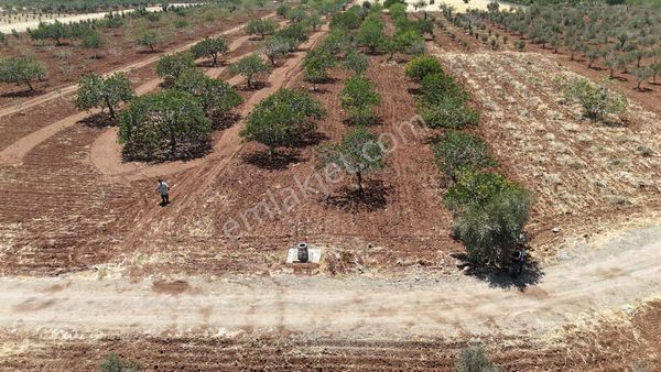 Uyaran 79 Gayrimenkul Den Ebulüle Mh Satılık Fıstıklık