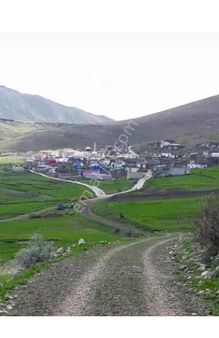 Köy Civarı Yaylalık Arazi