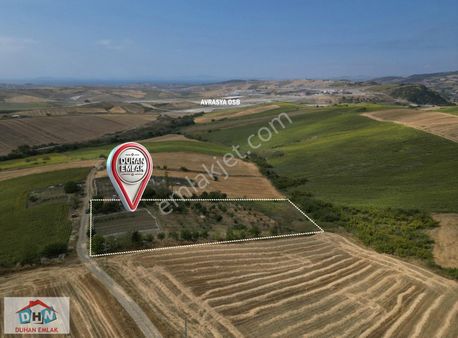 Yalova Laledere'de 7390m² Çitlik! 180 Adet Meyve Ağacı + Ev