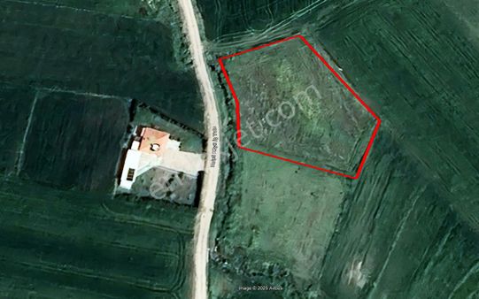 El/ya Naipli 'de 1910 M2 Tarla