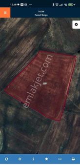 Adakent Emlak Dan Şaricam Akkuyunun En Güzel Yerinde Satlik Uygun Fiyata Hisseli Tarla