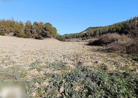 Akkuyu'da Her Bütçeye Uygun Geleceğe Yatırım Arsalar