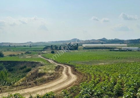Adakent Emlakdan Satlik Tarla Mersin Erdemli Ayaş Da Yatirima Uygun Kacirilmiyacak Konumda