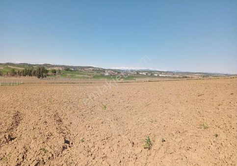 Adana Sarıçam Akkuyu Köyünde İnanılmaz Uygun Fiyatlarla Her Bütçeye Uygun Arsalarımiz Mevcuttur