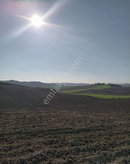 Adana Sariçam Akkuyu Köyünde İmara Girecek Hisseli Tarlamiz Satliktir Adana Şehir Stadyumuna 4 Km Dr