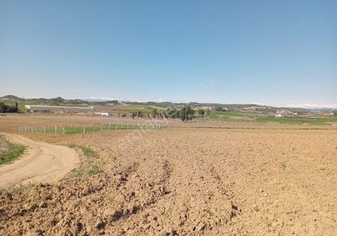 Adana Akkuyu Da Her Bütçeye Uygun Tarlalarimiz Mevcuttur Emlak Komisyonu Yoktur Arazi Bizimdir Kaçır