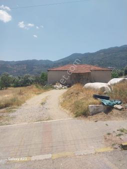 Aydın Bozdoğan Da Kiralık Besihane