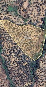 Irmaksudan Avcılar Da 11 Dönümlük Zeytinlik