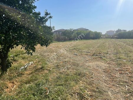 Safir Gayrimenkulden Nazilli Dallıcada Villa Bölgesinde Satılık Arsa