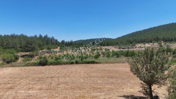 Hayal Gayrimenkulden Menteşe Kıran' Da Satılık 7330 M2 Tarla