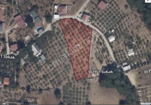 İzmir Buca Belenbaşı'nda Yatırıma Uygun Satılık Arsa