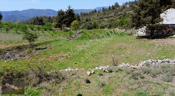 Emlak Z'den Toroslar Aladağ Mah.de Tek Tapu Satılık 1324 M2 Arsa