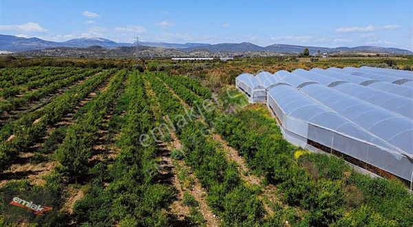 Bölgenin En Uygunu Otoban Bağlantsına 2 Km 7.660 M2 Şeftali Bah.