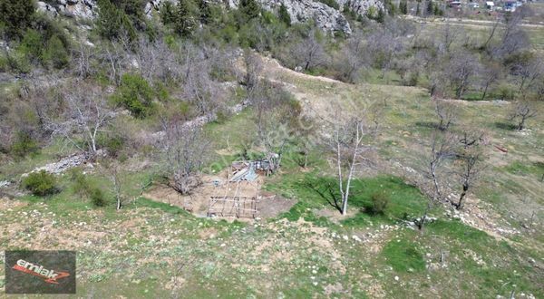 Emlak Z'den Arslanköyde Satılık Tek Tapu Şeftali Bahçesi