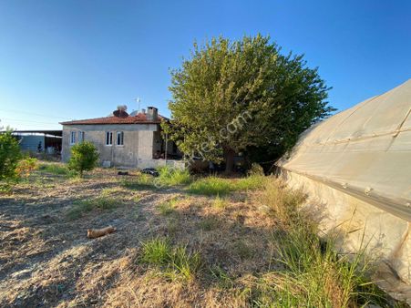 Ortaca Eskiköy De 5200 M2 Tarla İçinde Müstakil Ev Ve Sera Satılık