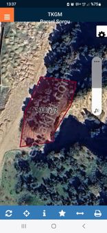 Nazilli Pınarbaşında Satılık Zeytınlık Cemevi Karşısı