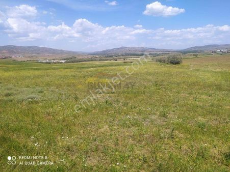 Güvenay - Çorum Sungurlu Küçükincesu Mevkii – 5.310 M² Satılık Tarla