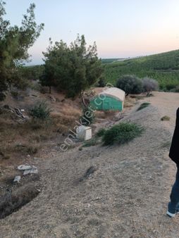 Avadan Da Satilik Ciftlik Yeri