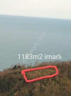 Perşembe Ramazan Mahallesi İmarlı Bahçe.