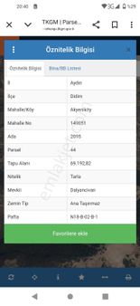 Dalyan Mevkinde Satılık Zeytinlik