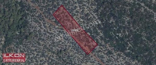 Milas'ta İlkon'dan Satılık 6 Dönüm Fırsat Zeytinlik Arsa