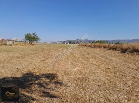 Milas Dörttepede Ana Yola Çok Yakın Yatırımlık 5847 M² Tarla ..