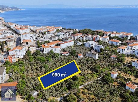 İskele Mevkiinde*imarasınır*980m2*düz Zemin Üzeri*kuponzeytinlik